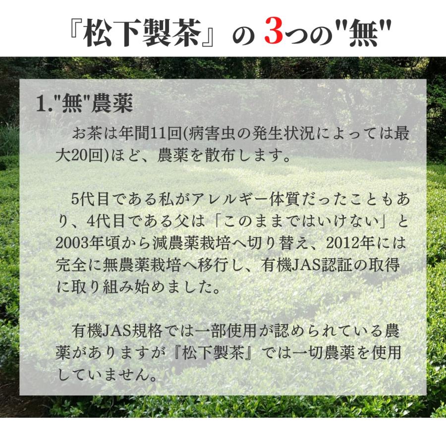松下製茶 種子島の有機和紅茶ティーバッグ『松寿(しょうじゅ)』 40g(2.5g×16袋入り)｜matsushita-seicha｜05