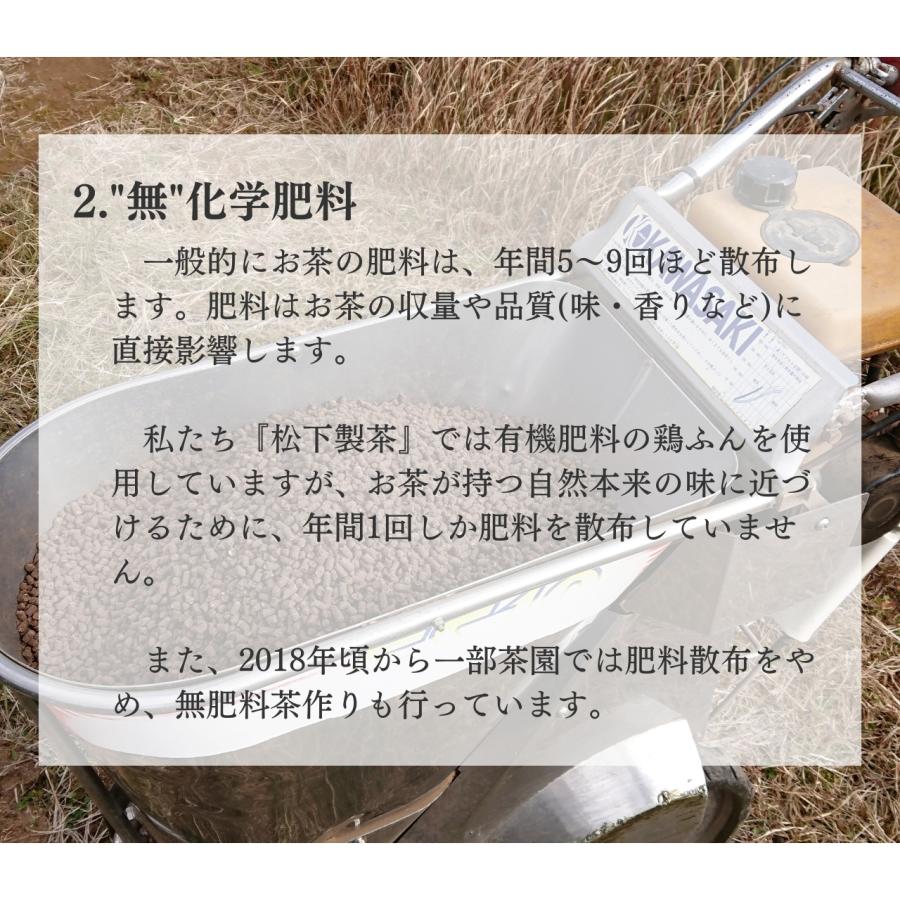 松下製茶 種子島の有機和紅茶ティーバッグ『やえほ』 40g(2.5g×16袋入り)｜matsushita-seicha｜06