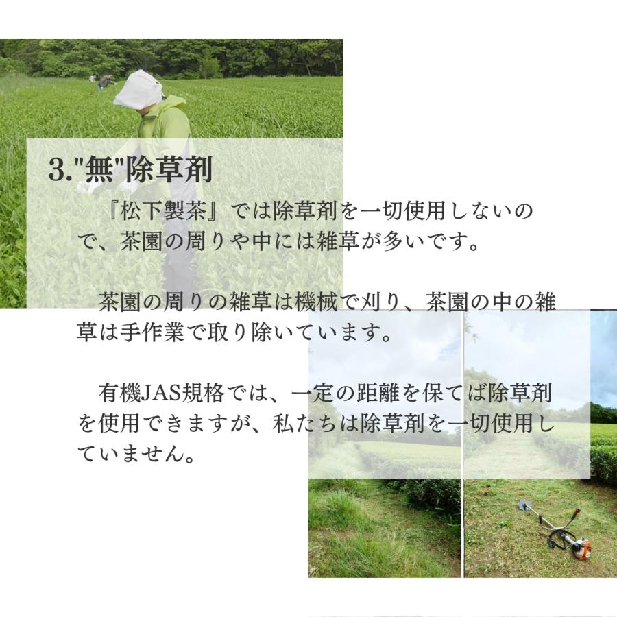 松下製茶 種子島の有機ほうじ煎茶ティーバッグ 48g(3g×16袋入り)｜matsushita-seicha｜07