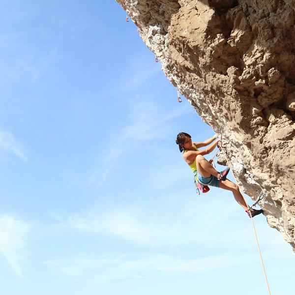 キャラバン（caravan） 送料無料 アンパラレル レグルス LV 1410015