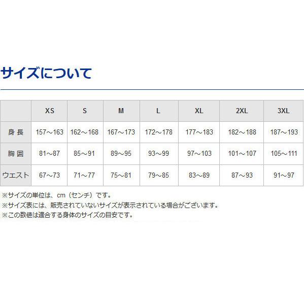 MIZUNO（ミズノ） 送料無料 ジャージ メンズ 上下 サーマルチャージ