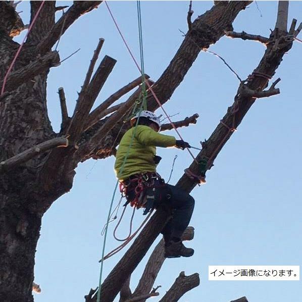 C.A.M.P.（カンプ） ジャイロランヤードの交換用ロープ 3.5m、5351602