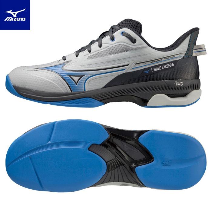 MIZUNO（ミズノ） 送料無料 テニスシューズ カーペット用 3E ウエーブ