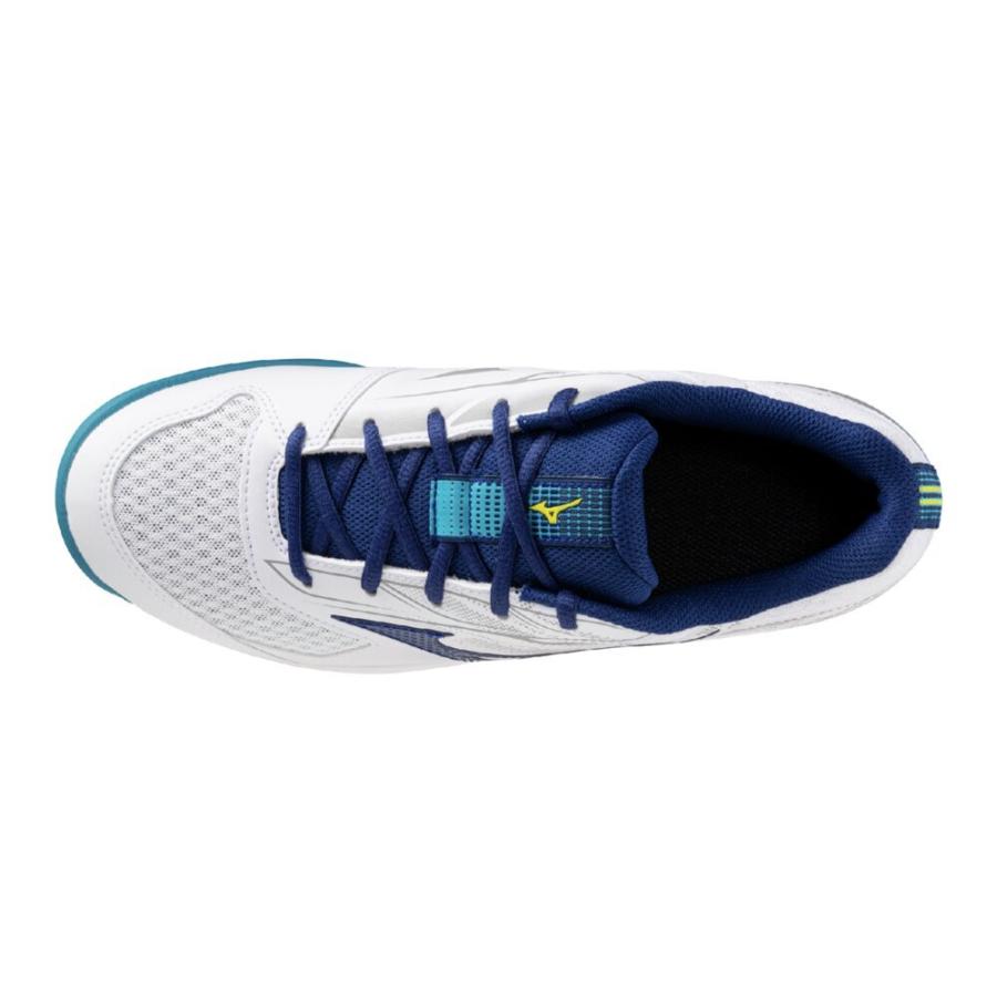MIZUNO（ミズノ） 送料無料 テニスシューズ カーペット用 メンズ