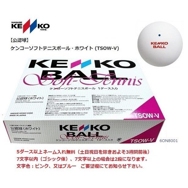 NAGASE KENKO（ナガセケンコー） 公認球 ケンコーソフトテニスボール