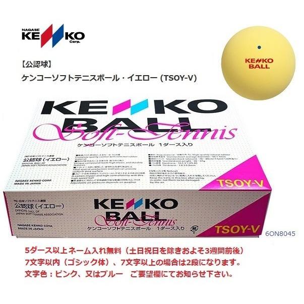 NAGASE KENKO（ナガセケンコー） ケンコーソフトテニスボール 公認球