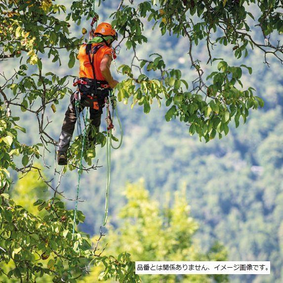 送料無料 ディステル ツリークライミング用スパイク 7900533 樹木の伐採 ツリースパイク ツリークライミングスパイク 山の管理手入れの画像