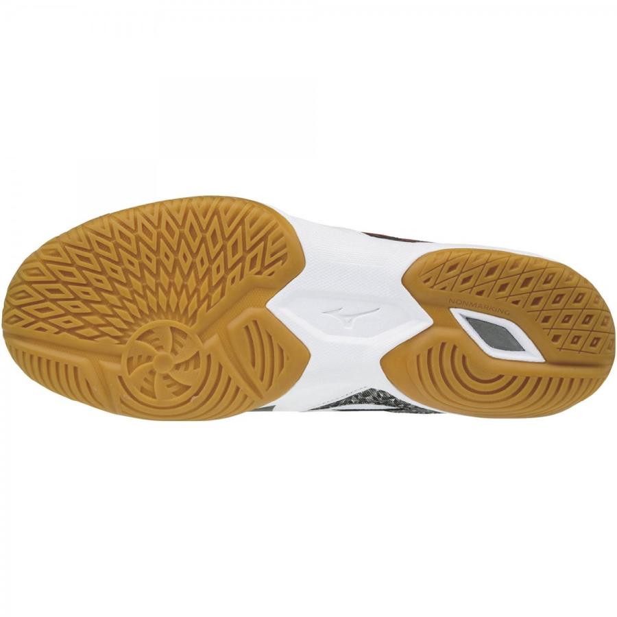 MIZUNO（ミズノ） ウエーブカイザーブルク5 卓球シューズ 81GA1820