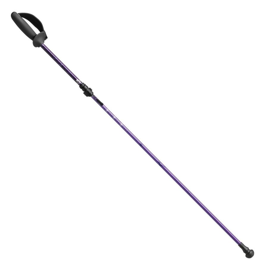 MIZUNO（ミズノ） 折りたたみ式 ウォーキング用ポール SH (2本1組