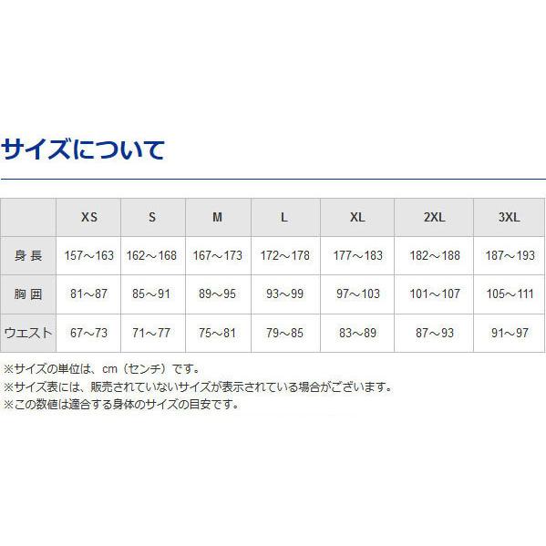 送料無料 モレリア ミドラーシャツ メンズ 速乾 通気 P2MCA005 ミズノ トレーニングウエア｜matsuspo｜08