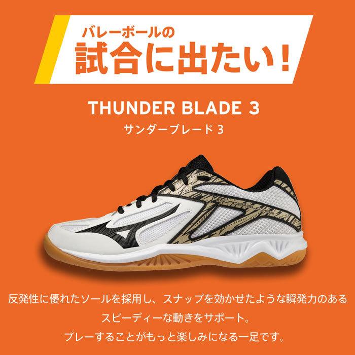 MIZUNO（ミズノ） 送料無料 バレーボールシューズ メンズ レディース