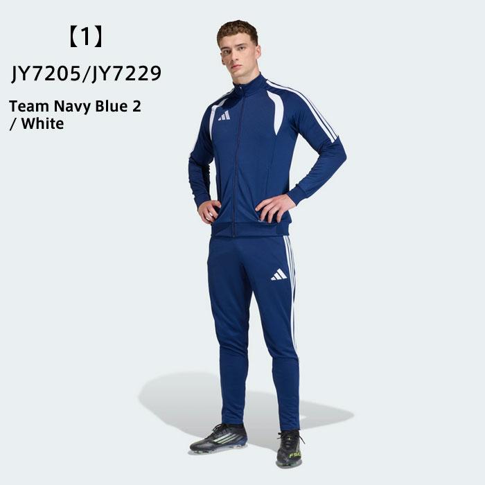 ASSOS トレイル ウィメンズ ジャージ T3 ASSOS トレイル ウィメンズ ジャージ T3 限定ジャージ、Tシャツ、オフ