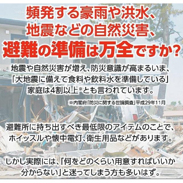 送料無料 ゼット防災用品セット 防災士が監修した防災31点セット ZWA31の画像