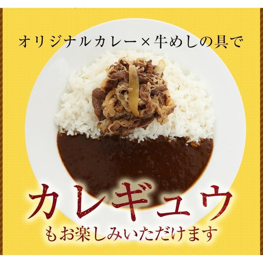 (メーカー希望小売価格4500円→3480円)(冷凍) 松屋 オリジナルカレー1０個セット 送料無料 辛口 肉 牛丼 絶品 簡単調理 仕送り 業務用 食品 おかず お弁当｜matsuyafoodcourt2｜11