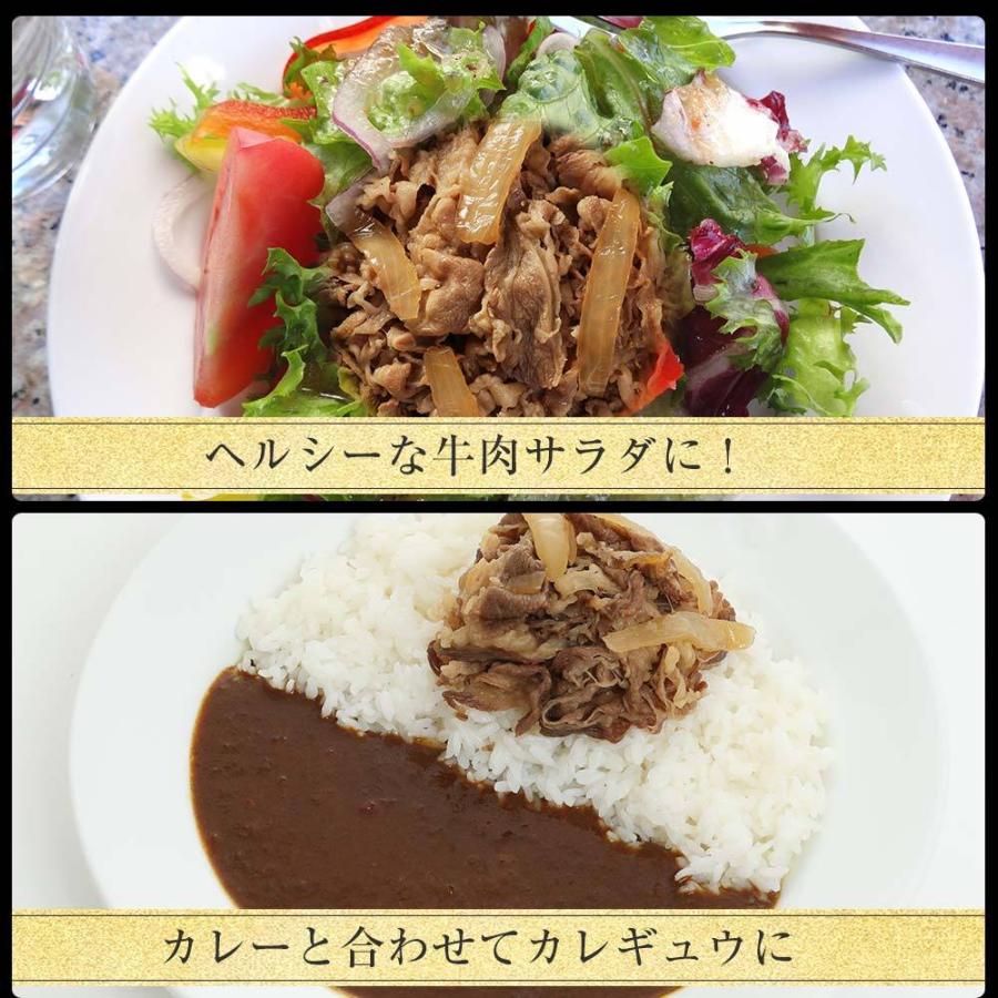 (メーカー希望小売価格18000円→6780円) 牛丼 牛丼の具 松屋 乳酸菌入り牛めし30食（プレミアム仕様） 牛肉 肉 絶品 簡単調理 仕送り 業務用 食品 お弁当 非常食 | 松屋 | 16
