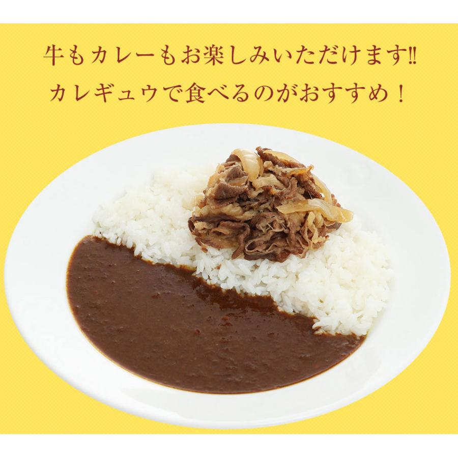 (メーカー希望小売価格14250円→5970円)  ＜松屋＞カレギュウ30個（プレミアム仕様牛めしの具×15 オリジナルカレー×15） 牛丼 カレー 牛めし 冷凍 食品 おかず｜matsuyafoodcourt2｜02