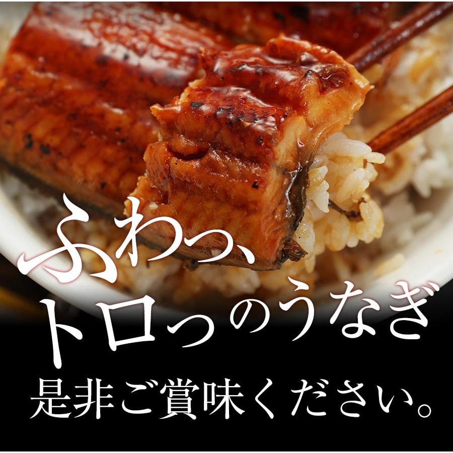 (メーカー希望小売価格4480円→3180円) 松屋のうな丼 うなぎ 鰻 松屋 すし松 うなぎカット4枚 うなぎ 鰻 丑の日 土用の丑の日 土用の丑 土用 うなぎ｜matsuyafoods｜09