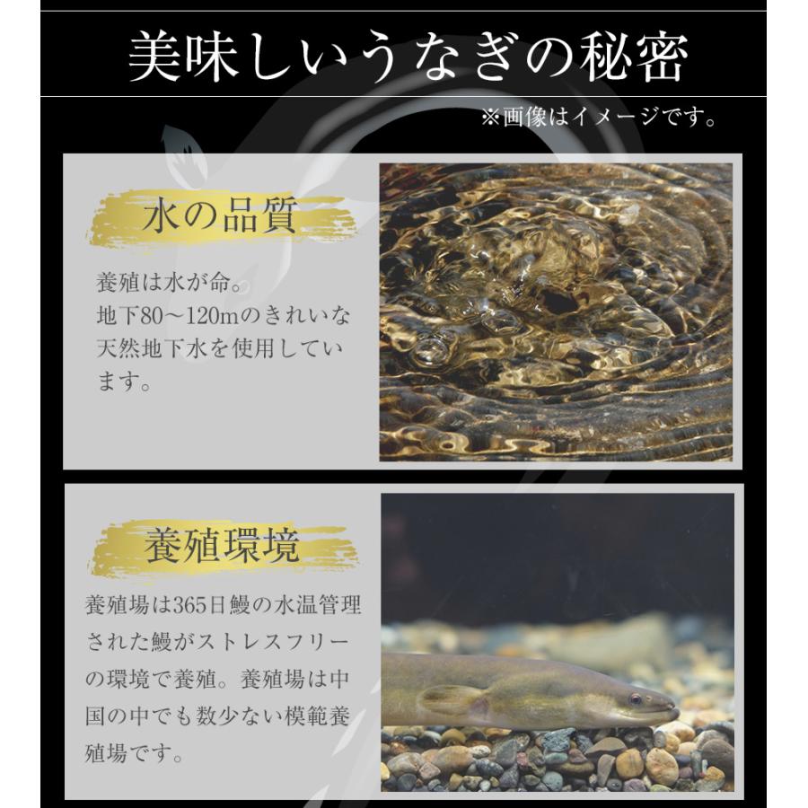 (メーカー希望小売価格11200円→5980円) 松屋のうな丼 うなぎ 鰻 松屋 すし松 うなぎ カットメガ盛り（10人前） うなぎ 鰻 丑の日 土用の丑の日 土用の丑｜matsuyafoods｜07