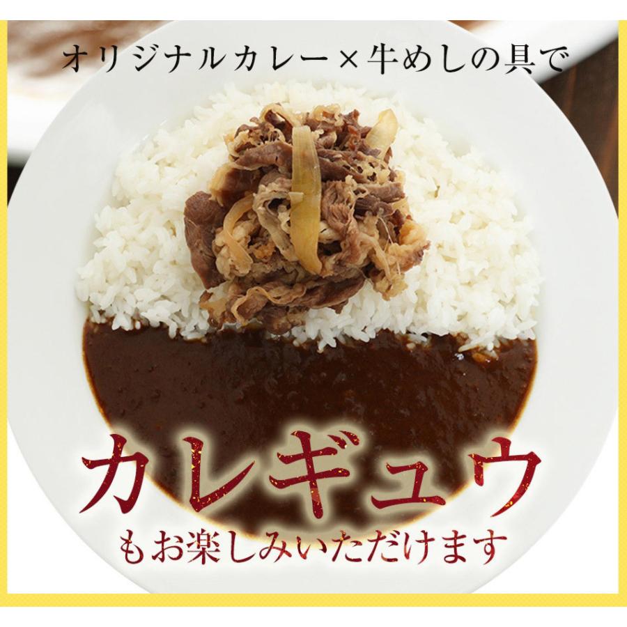 松屋 豪華全部盛り福袋【全3種30食】( 牛めし 豚めし カレー 各10食) 牛丼 惣菜 冷凍食品 仕送り 業務用 食品 おかず お弁当 冷凍 まつや 福袋｜matsuyafoods｜10