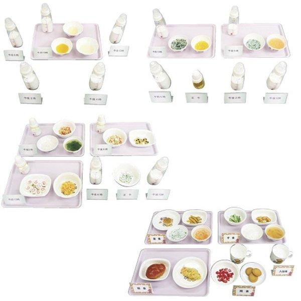 離乳食献立モデルa 5 6ヶ月頃 44 1 1組 イワイサンプル 24 4510 01 マツヨシ 通販 Yahoo ショッピング