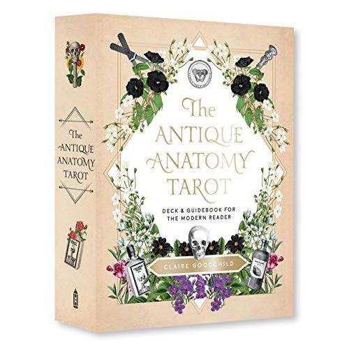Antique Anatomy Tarot Kit: A Deck and Guidebook for the Modern Reader並行輸入品