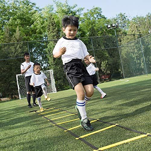 送料0円 スピードサッカートレーニングラダー アジリティラダー 12段 Seisso フィットネスを向上させるエクササイズ機器 フッ 素早くフットワークをアップ その他関連グッズ Safecity uiginfo Com