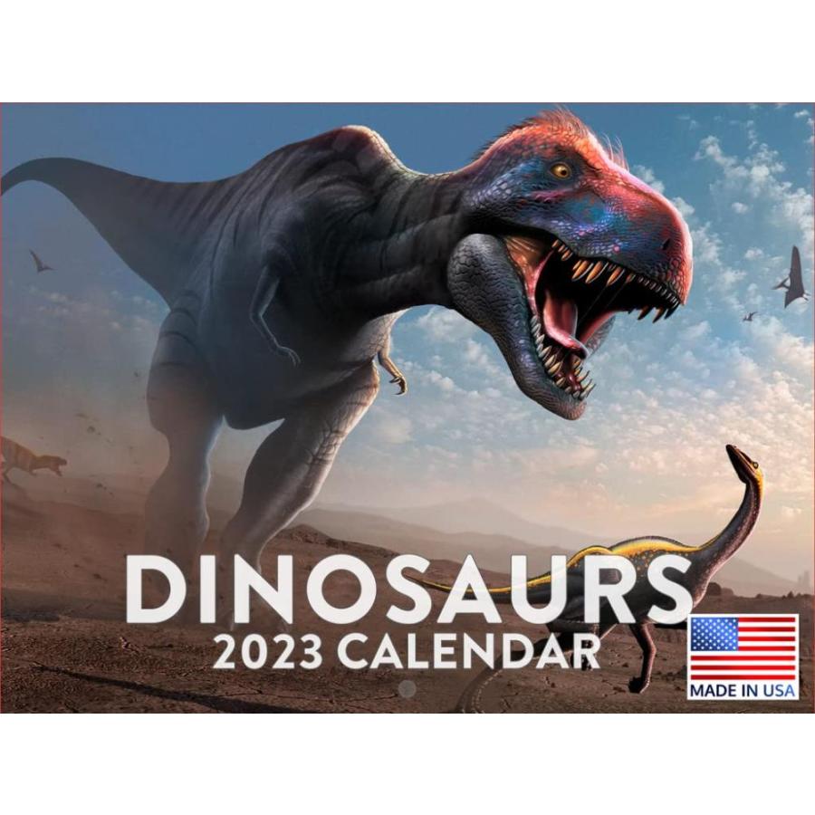 恐竜カレンダー 23年 月間壁掛けカレンダー ティラノサウルス レックス爬虫類 クール 子供部屋用 大型プランナー 24ヶ月 フル23年 Ys 生活雑貨の店マシュー 通販 Yahoo ショッピング