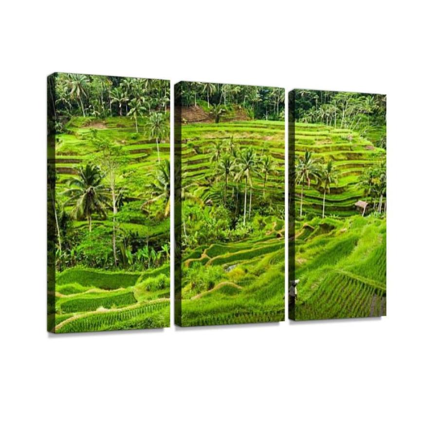 BELISIIS　Bali　Rice　Pictures　Exclusive　Rice　Print　on...　terraces　Wall　Photography　and　Abstract　Artwork　Vintage　[並行輸入品]　Paddys　Paintings