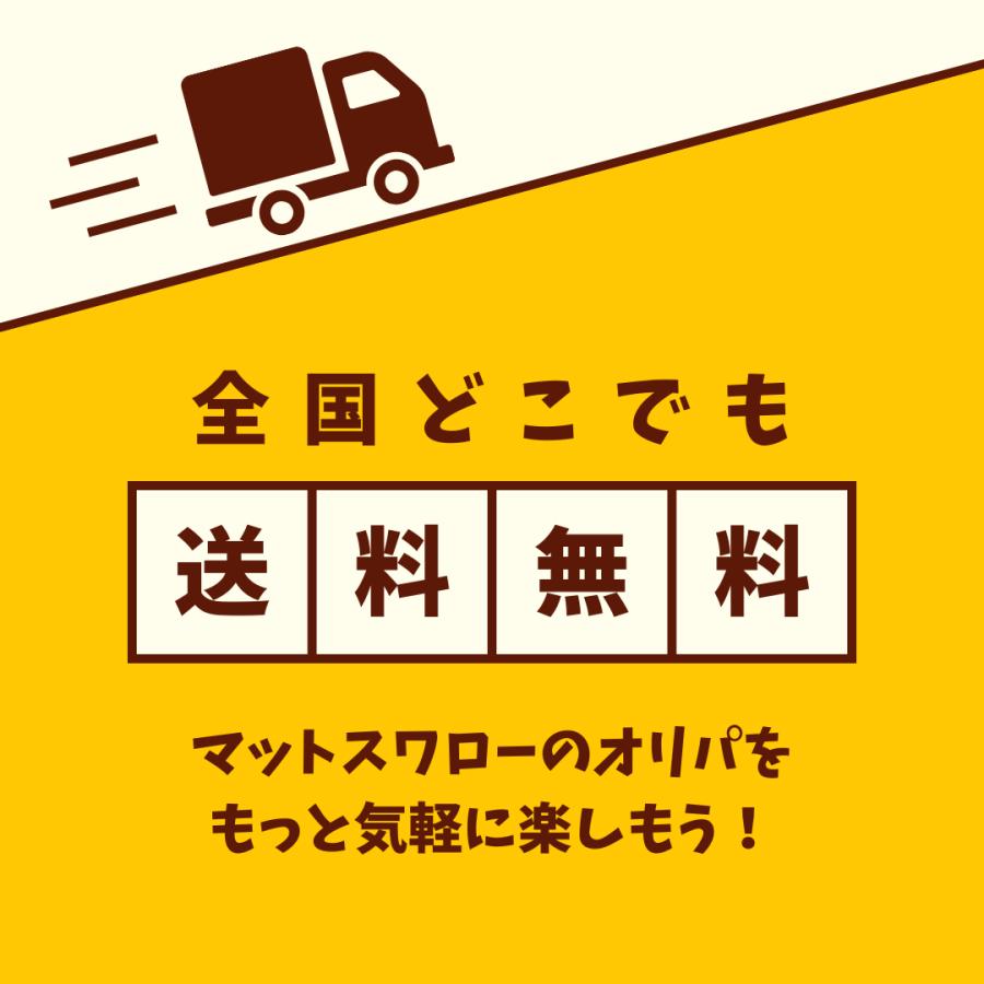 バトルパートナーズ テラスタルフェス 超大増量 ポケモンカード バトルパートナーズ テラスタルフェス 超大増量 ポケモンカード