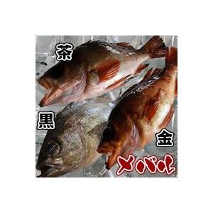 メバル 生冷凍 下処理済 約22 24cm前後 浜坂産 魚介類 海産物