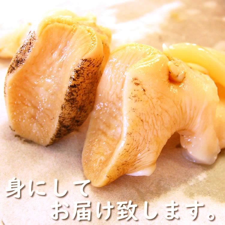 赤バイ貝（生）殻付き約500g前後（2-5個入）（浜坂産）ばい・エゾボラ