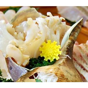 赤バイ貝（生）殻付き約500g前後（2-5個入）（浜坂産）ばい・エゾボラ