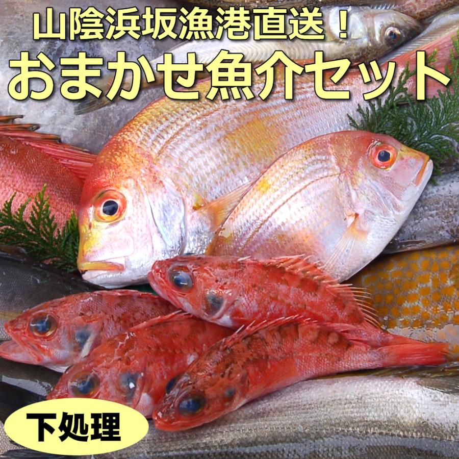 送料無料 山陰浜坂港直送 朝とれおまかせ鮮魚 魚介3000円 税別 プラス下処理代セット 下処理加工希望 海鮮 ギフト 魚介詰め合わせ 福袋 1234 2 毎日漁港へ目利き一筋 かにの山米 通販 Yahoo ショッピング