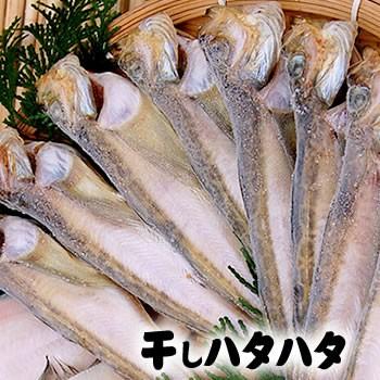 天日干し とろハタハタ 冷凍 大サイズ 10匹入り 山陰沖産 干物 はたはた 白ハタ 09 毎日漁港へ目利き一筋 かにの山米 通販 Yahoo ショッピング
