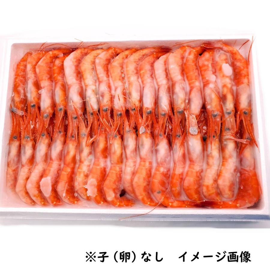 あおえび出品 (11/4 正午まで) あおえび出品 (11/4 正午まで) あおえび