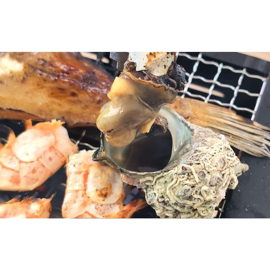 ホタテ（片貝）とサザエの海鮮バーベキューセット（冷凍） （国産  