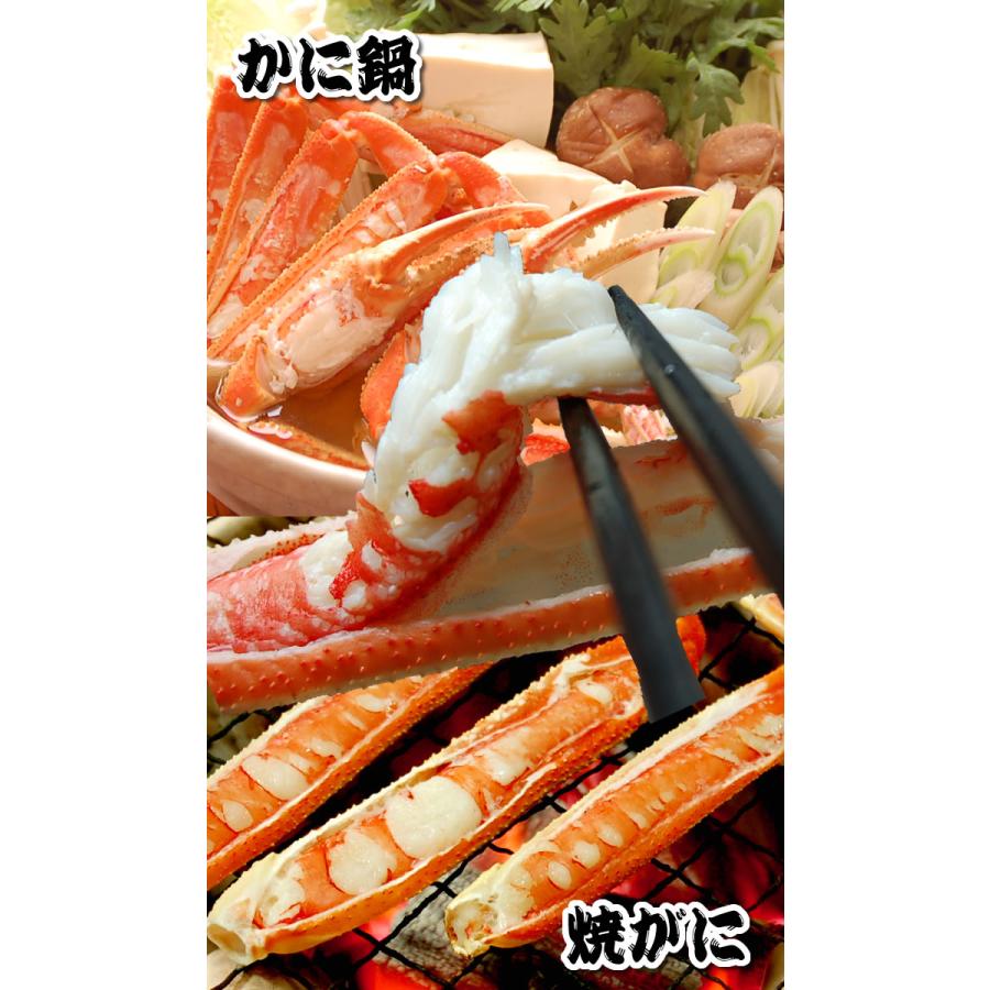 ≪数量限定≫調理済・活〆松葉がに鍋セット だし付き（冷凍）約3-4人用　地物の蟹を鍋用に捌きました。（松葉かに、松葉カニ、松葉ガニ）