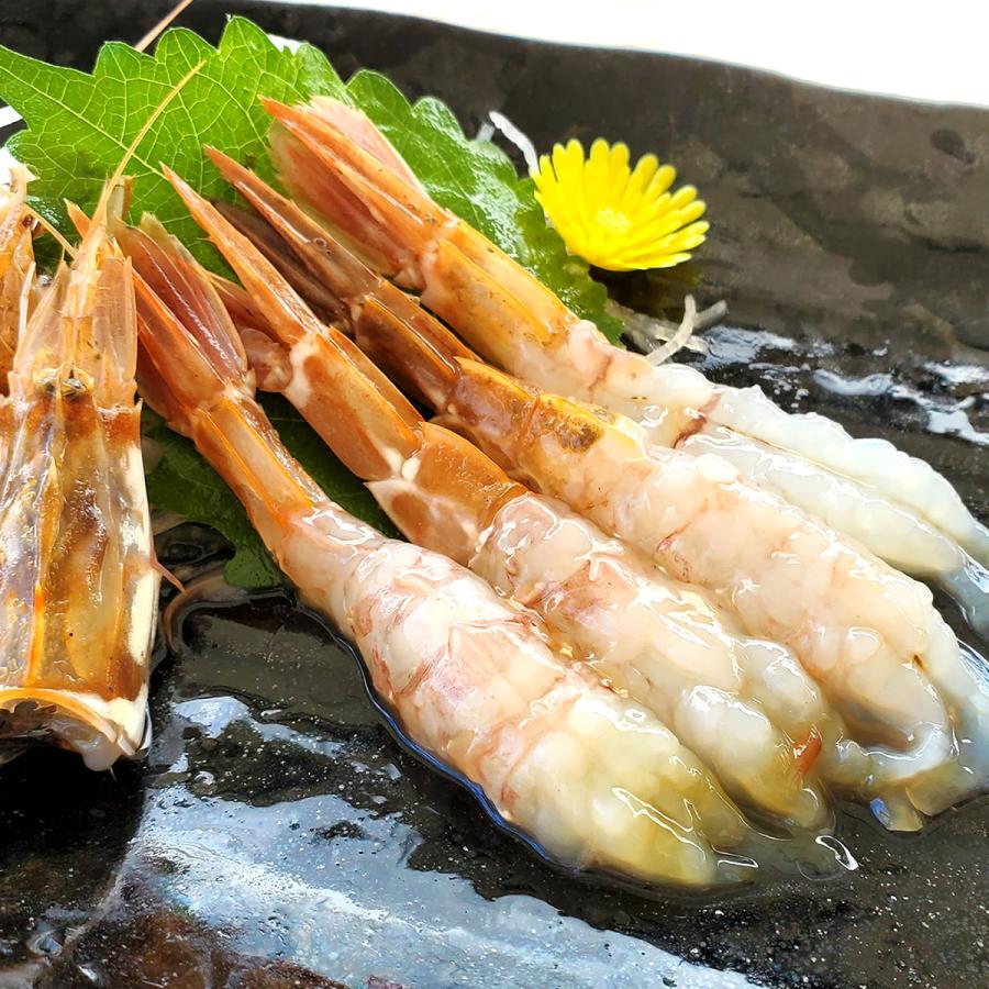 えびになります。 おにえび（日付指定不可） – 有限会社島田水産