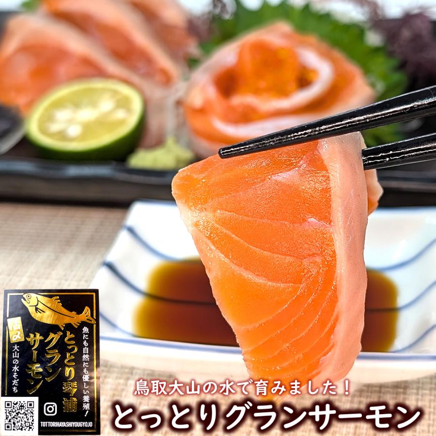 とっとり琴浦グランサーモン・お刺身用柵（冷凍・養殖トラウト） 約