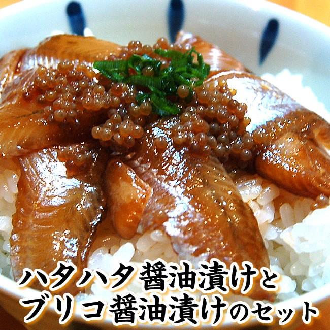 さかな屋自家製　「とろハタハタ漬け丼」と「ブリコ醤油漬け」のセット （冷凍）（はたはた、白ハタ）添加物未使用｜matubagani