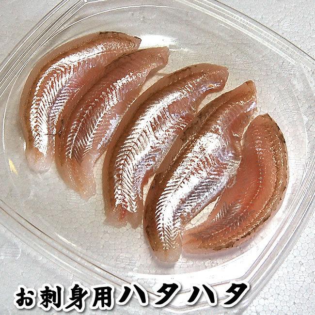 送料無料 激安 お買い得 キ フト 天然とこぶし 活生 約0g前後 5 10個前後入 サイズ混ざり 山陰浜坂産 トコブシ 床伏 流れ子 ながらめ 貝 Supplystudies Com