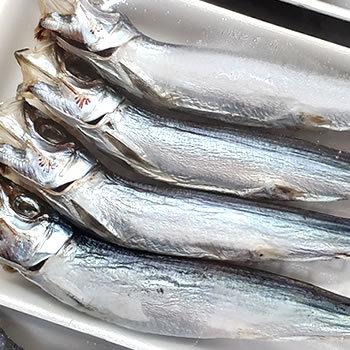 うるめいわし丸干し 冷凍 ４尾入 鰯 イワシ 節分に Hosi Iwasi2 毎日漁港へ目利き一筋 かにの山米 通販 Yahoo ショッピング