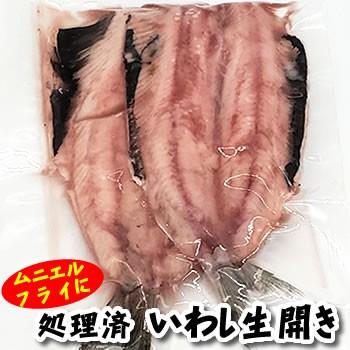 真いわし生開き 冷凍 大きめ ２尾入150ｇ以上 山陰沖産 真イワシ 真鰯 鰯 イワシ Iwasi Nama1 毎日漁港へ目利き一筋 かにの山米 通販 Yahoo ショッピング