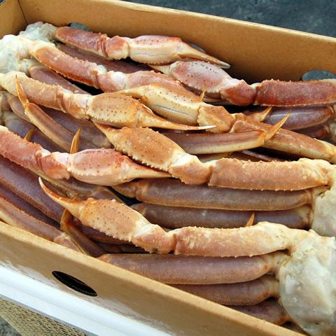 （業務用特価）かにすき・焼きがにに（送料無料）ずわいがに足（生・冷凍）3Lサイズ・約5kg前後入（約15-17肩入）（同梱不可）（鍋セット） 送料無料 ずわいがに足 生 冷凍 約5kg前後入 約15 17肩入 同梱不可 　