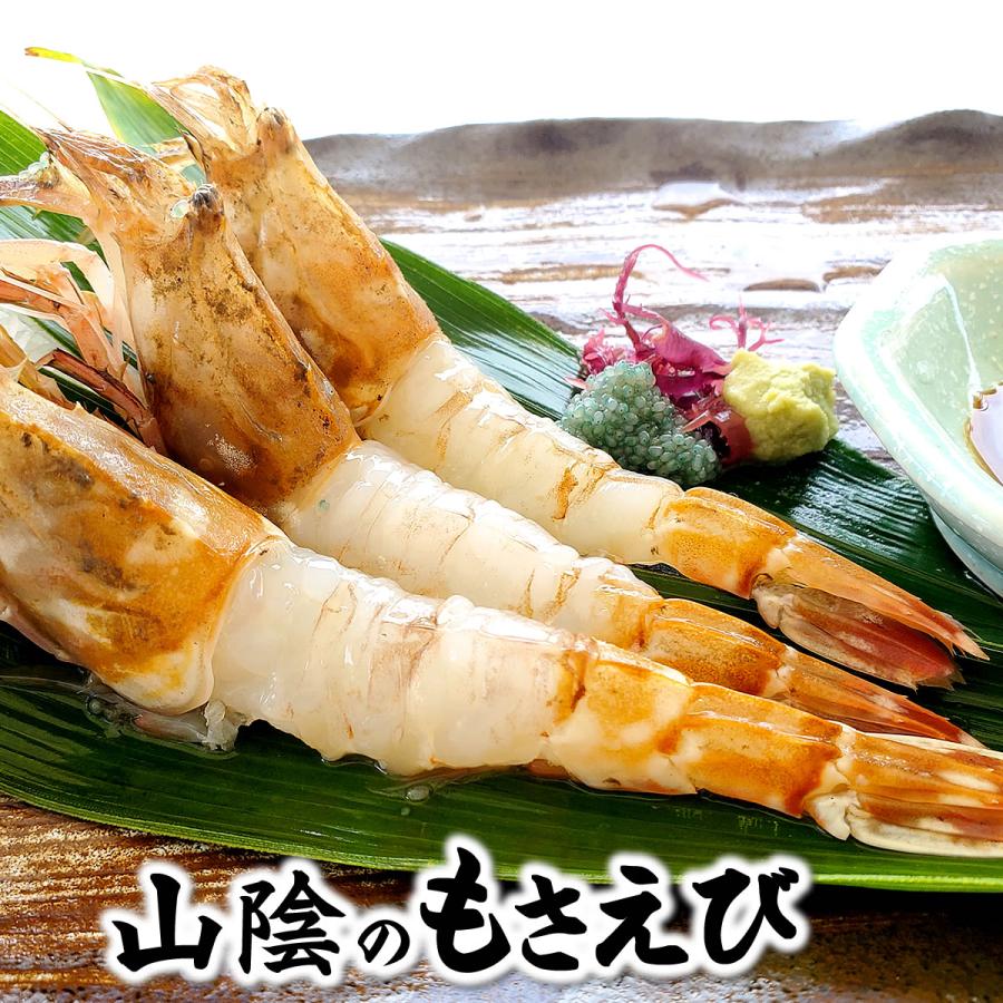 もさえび（冷凍) サイズ混ざり・訳あり混じり 約200g前後 （浜坂産