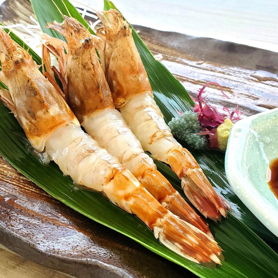 もさえび（冷凍) サイズ混ざり・訳あり混じり 約200g前後 （浜坂産