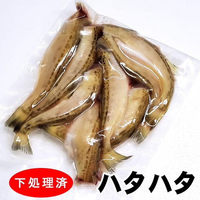 生ハタハタ（無頭・調理済み）（冷凍）小 約150g入 （浜坂産） 大小