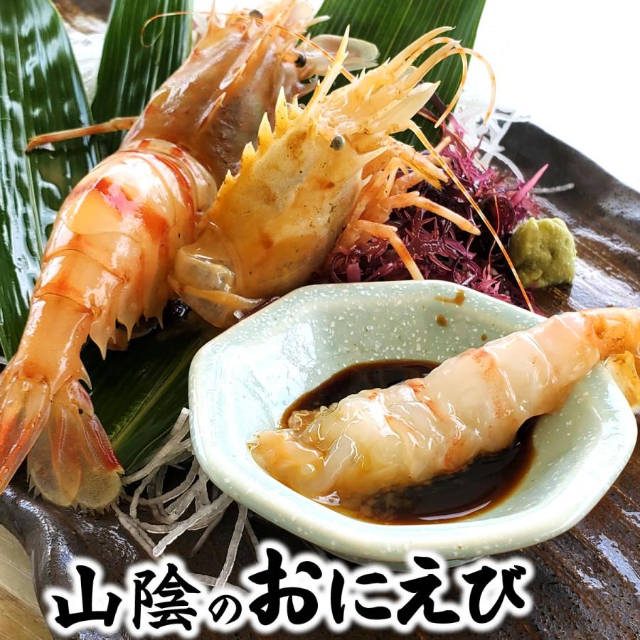 お刺身用「おにえび」（船内冷凍）中小混ざり 500g以上（浜坂産
