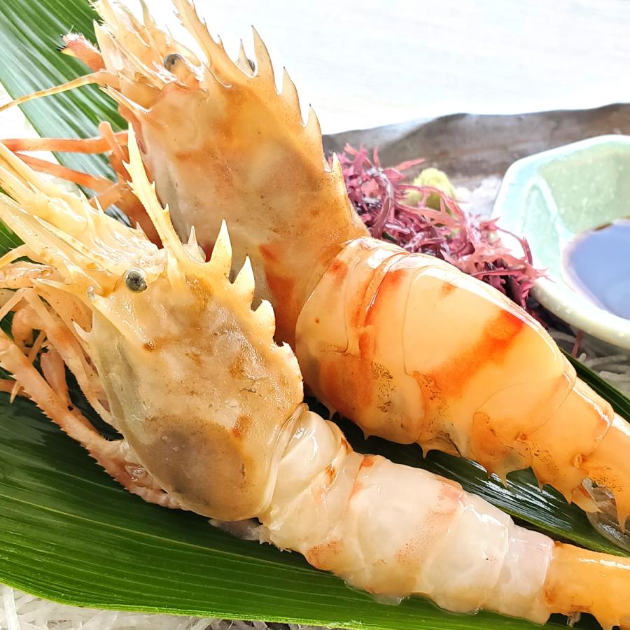 おにえび（冷凍）サイズ混ざり（約140g）（お刺身可）（浜坂産）幻の