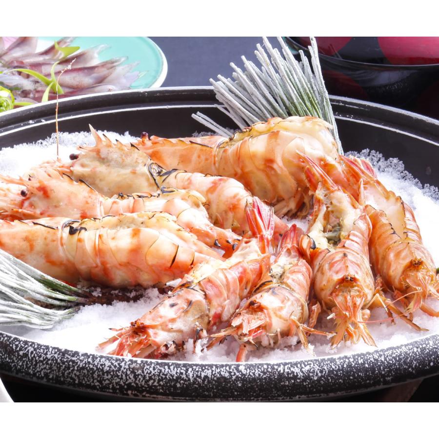 3円 最大92 オフ どろえび 冷凍 約0ｇ前後 大小混ざり お刺身